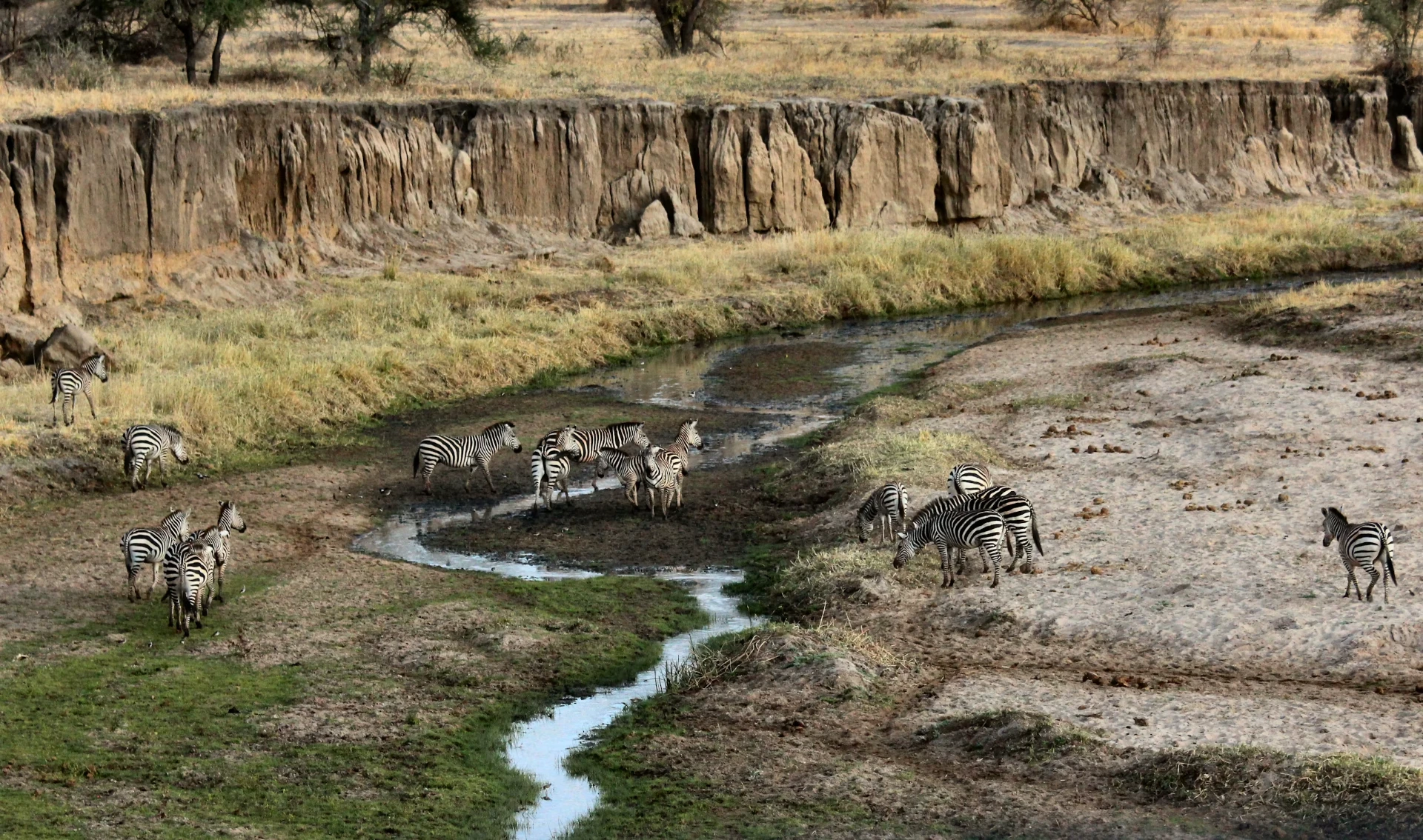 8-Day Luxury Tanzania Wildlife Photography Expedition