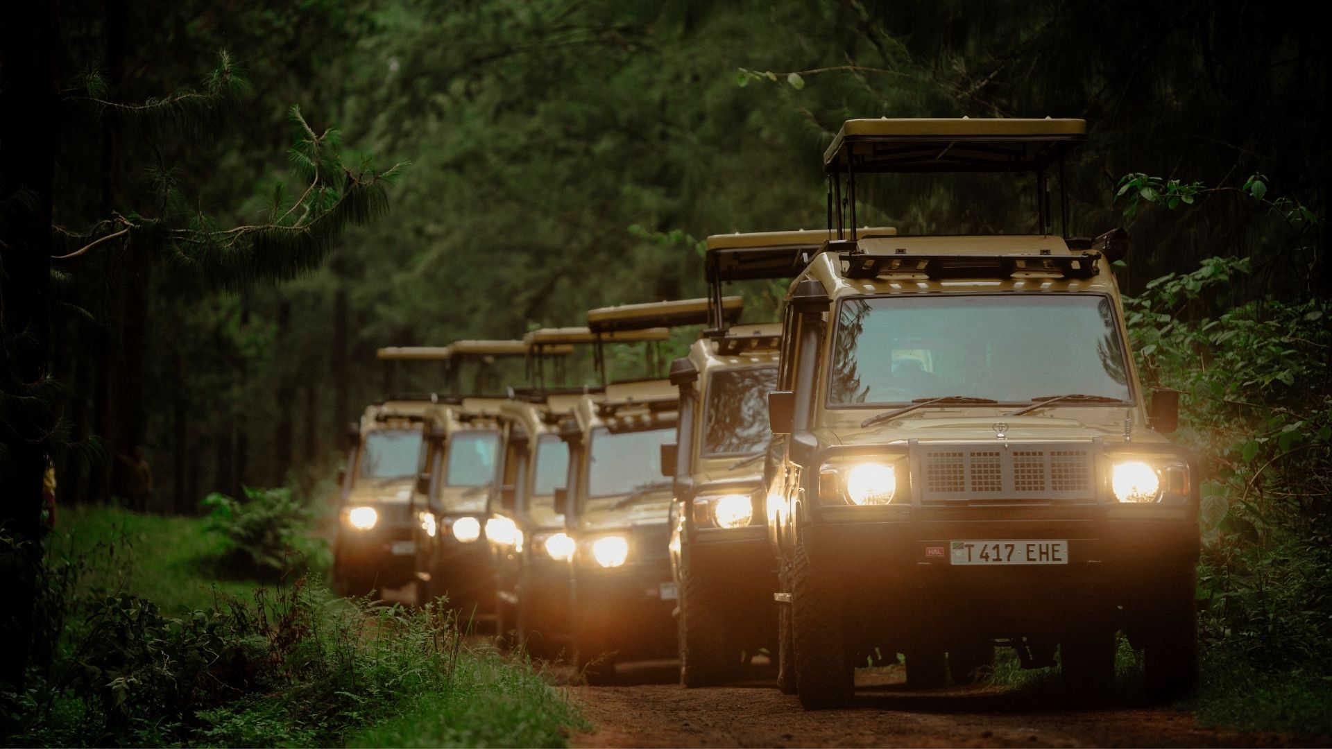 How much does a Tanzania safari cost?